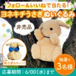 インスタグラムキャンペーン