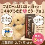 ヨネキチInstagramキャンペーン